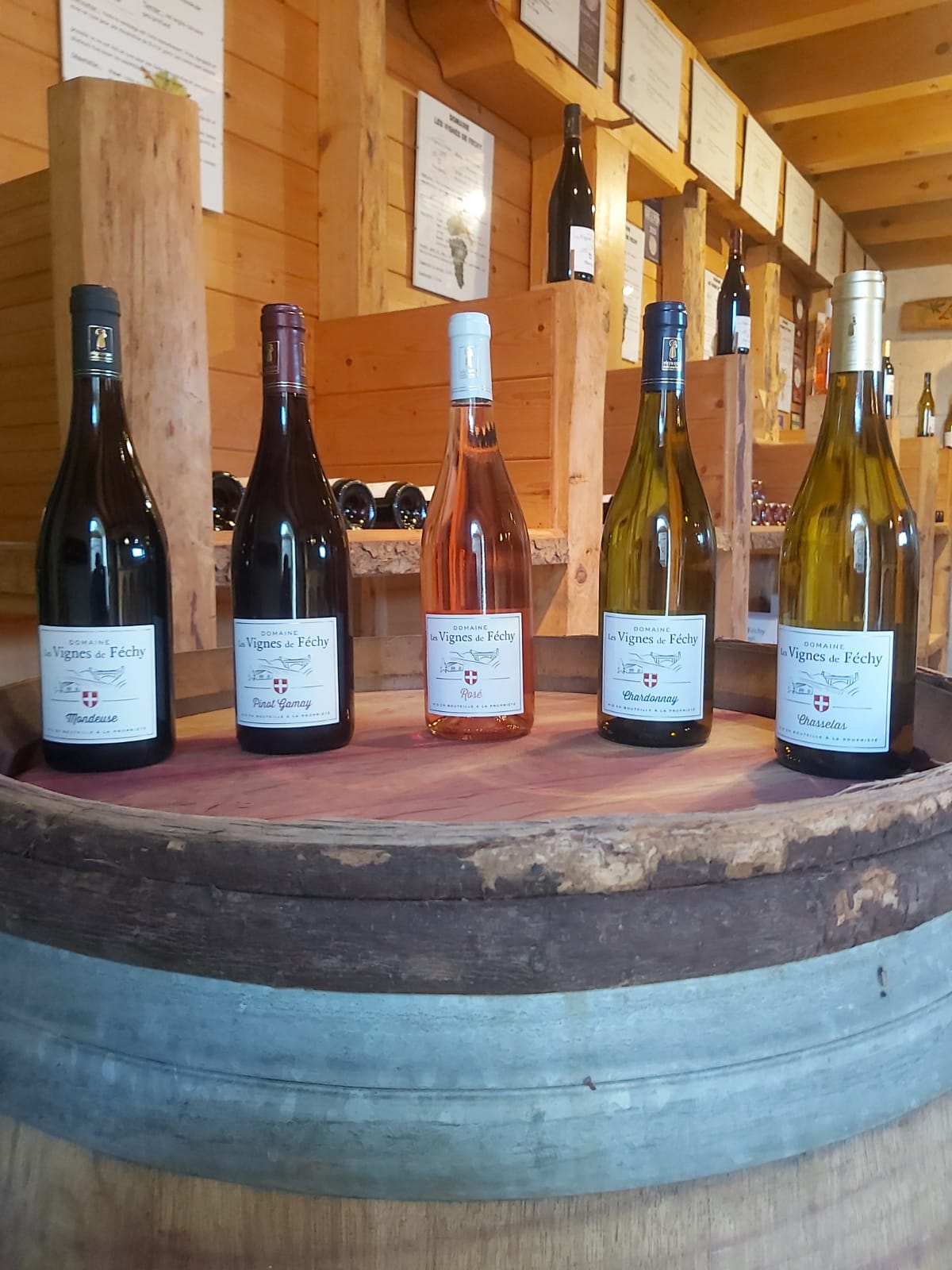 gamme de vins, vins de Savoie, Domaine les Vignes de Fechy, vins de Féchy, vins de Cruseilles, Cruseilles, Annecy, Genève, Haute Savoie